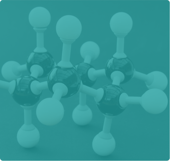 E2 & E1 reaction                          Lorem ipsum dolor sit, amet consectetur                 adipisicing elit. Dolori