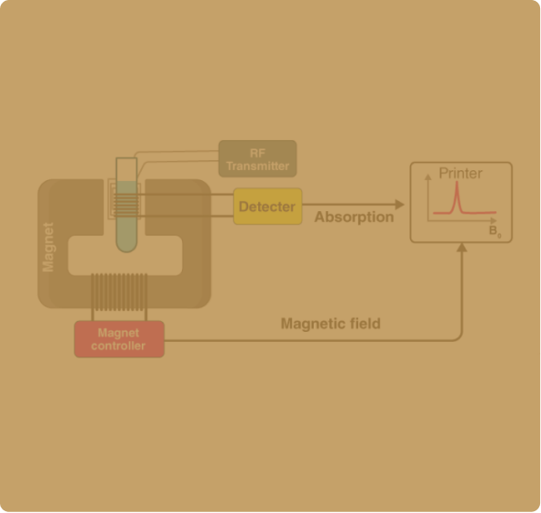 NMR Spectroscopy                          Lorem ipsum dolor sit, amet consectetur                 adipisicing elit. Dolori